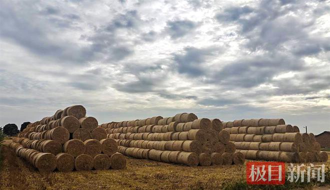 江陵：秸秆回收综合利用实现“变废为宝”(图2)