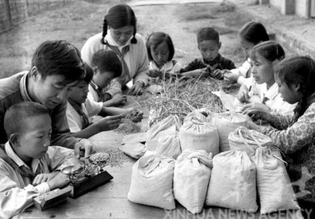 成都市1960年(图10)